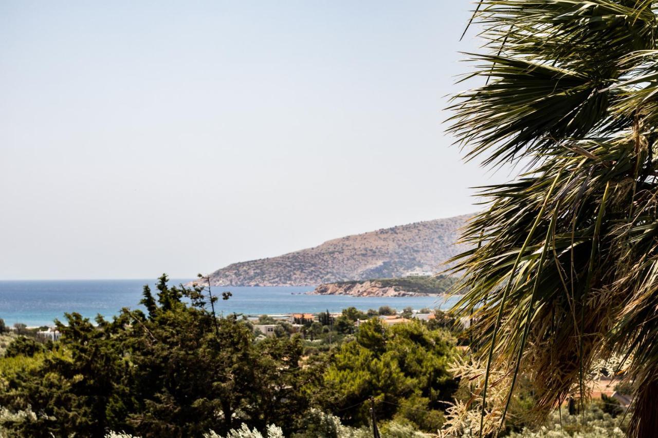 Villa Sounio سونيو المظهر الخارجي الصورة